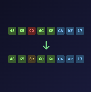Reed-Solomon Error Correction
